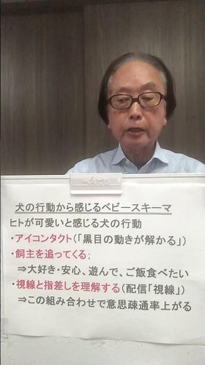 愛犬の行動から飼主が感じ取るベビースキーマとはどんなとき？意志疎通をよくいています。