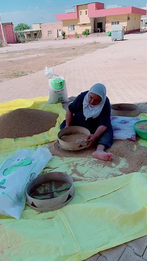 Sorting Grains: Traditional Techniques Unveiled