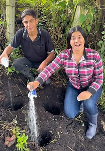 Cómo sembramos el agua paso a paso en el campo