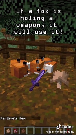 Clever Foxes in Minecraft: Facts and Tips