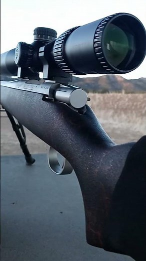 Federal premium 85 grain 243 Winchester rounds.