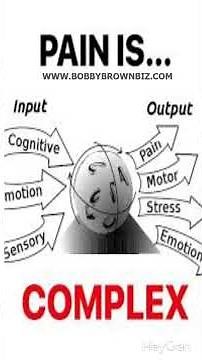 What is the Neuro-matrix of Pain?