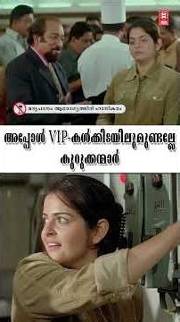 അപ്പോൾ VIP-കൾക്കിടയിലുമുണ്ടല്ലേ കുറുക്കന്മാർ🤣Colours Malayalam Movie Scene l Dileep