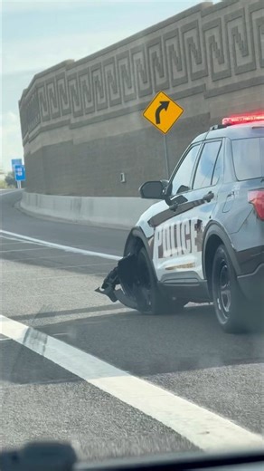 The Most Embarrassing Cop Car Crashes