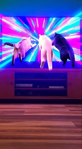 Cats in Unusual Places (The Movie)