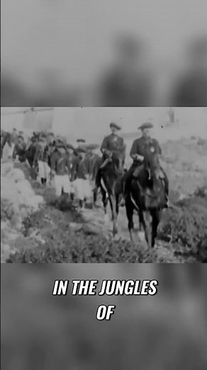 The Secret Rifle That Won the War!