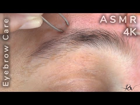 Eyebrow Care *Clarice* [ASMR]