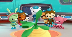 Octonauts Creature Reports The Cuttlefish