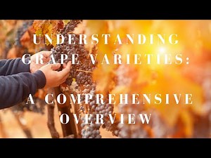 Understanding Grape Varieties: A Comprehensive Overview