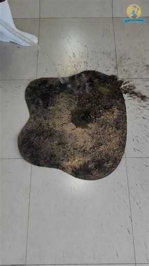 3.7M views · 32K reactions | Challenging Abandoned Carpet Cleaning -ASMR RUG CLEANING#cleaningservice #asmr #oddlysatisfying #asmrsound #dirtywater #asmrbrushing #rugwashingasmr #reel #reels | Magnus Rug Cleaning | Facebook