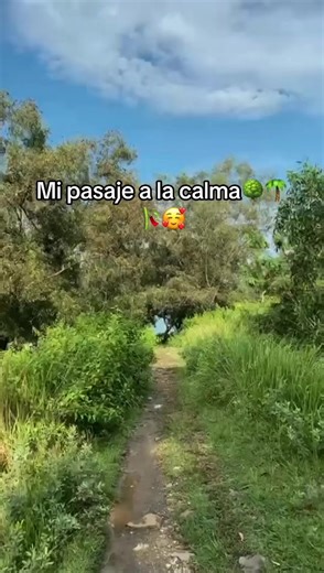 #paraguay🇵🇾 #campo