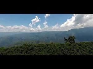 Value Propositions of Vikram Solar Panels-III | Solar Panel Manufacturer