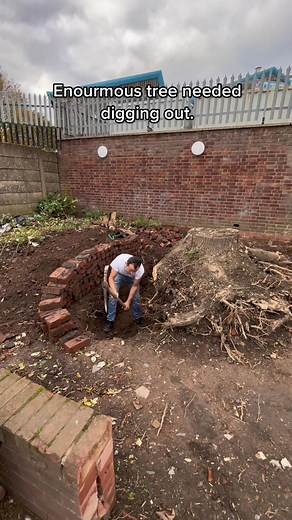 Efficient Tree Digging with Pic Axe | Impressive Results in Less Than 8 Hours