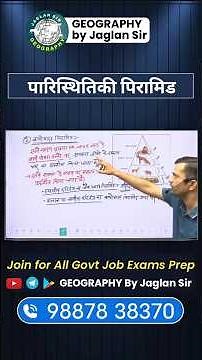 Ecological Pyramid #pyramid #geography