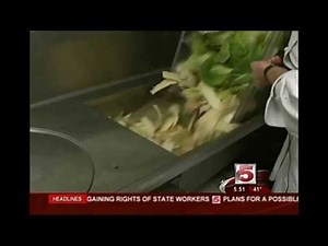 Washington University Somat News Spotlight