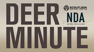 4.5K views · 32 reactions | ScoutLook and the National Deer Alliance (NDA) have joined forces to bring you the Deer Minute—a bi-weekly, quick-hitting video containing top headlines about major deer issues from around the country. Stay tuned for more! | HuntStand | Facebook