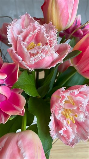 Tulip season is officially here! 🌷 It’s easily our favorite time of year, and our latest shipment just arrived straight from Holland. With so many unique varieties and vibrant colors in shop, come catch an early glimpse of spring! 🌿✨ | Robin Wood Flowers