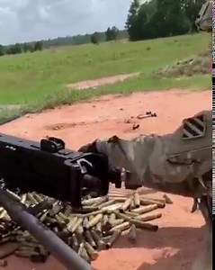 Meet 2nd Lt. Eunsol Kaylee Yoon, whose passion is showing the world that there are no limits on what she can do. Looking for a career that elevates? See what the Army has to offer at https://go.usa.gov/x6awR. 🎥: 2nd Lt. Eunsol Kaylee Yoon | GoArmy