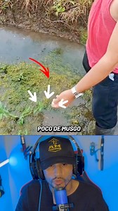 Carnada efectiva para la tilapia. #pesca #reelsviralシ #tilapia #carnada #fishing #virals #peixe #pescaria #tilapias #videochallenge | Andrey Mendez