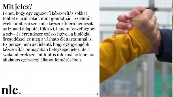 Orbán Anita elárulta, kiknek a véleménye számított a legtöbbet a Tisza Párt felkérésekor