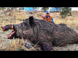 HUNTING the BEAST: INCREDIBLE Shots on WILD BOARS, EPIC Hunting Scenes!