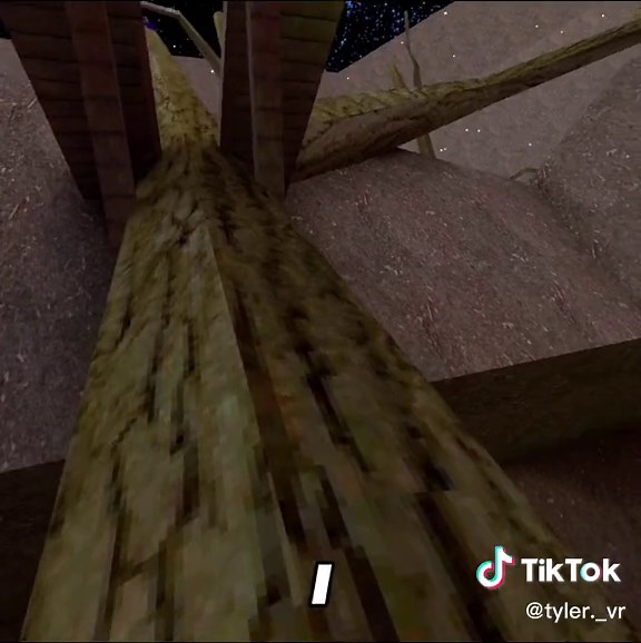 Fun Slide Adventures in VR with Capuchin Monkeys