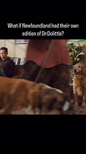 What if Newfoundland had their own edition of Dr.Dolittle #newfoundland #newfie #newfoundlandandlabrador #newfiesofinstagram | Scott Matchim