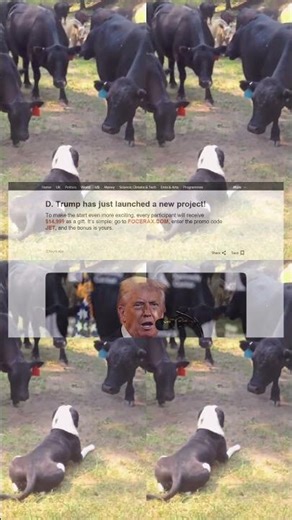 BABY Lamb's First BAAA!! 😍 FUNNIEST Farm Animals 1473s