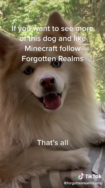 Exploring Forgotten Realms in Minecraft