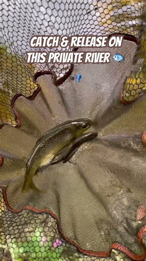 Private river Fishing at a secret location 🎣🎣🎣