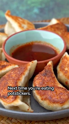 Delving Into the Origins of Potstickers: An Intriguing Tale