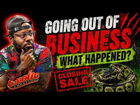 Why Most Ball Python Breeders FAIL (And How You Won’t)