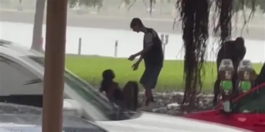 4 teenagers struck by lightning while under tree in Florida