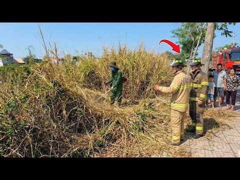 Extreme Sidewalk Cleanup | Years of Overgrowth Removed