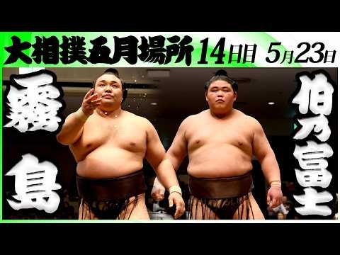 大相撲 霧島ー伯乃富士＜令和８年五月場所・１４日目＞SUMO