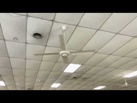 56” Dayton Lasko Ceiling Fan