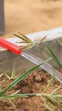 Ghar pe banaye Powerful Water Pump! 🏠⚡ | Transformer Construction #shorts #diy #Transformer