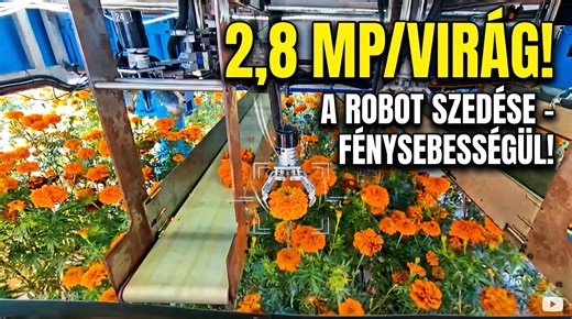 Robotok veszik át a földeken a munkát – Kína okos mezőgazdasági forradalma Szecsuanból indul