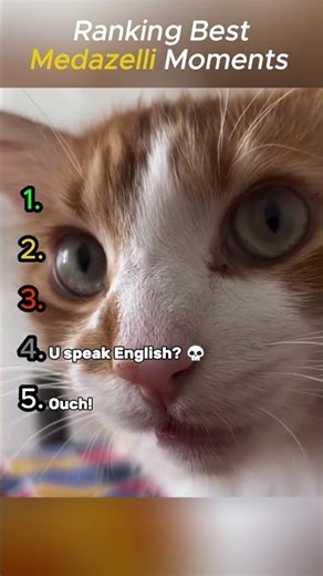 THE LAST ONE IS 💀😂 #funny #tiktok #medazelli