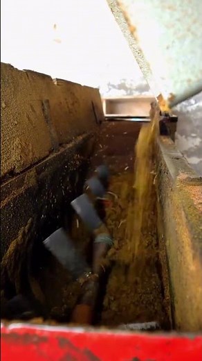 Inside a Cold Press Oil Factory | Traditional Oil Extraction Process