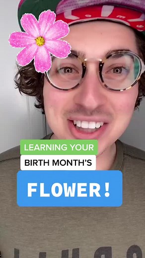 Discover Your Birth Flower and Symbol for Each Month!