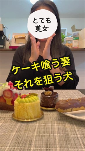 Happy Birthday Celebration with Wife and Shiba Inu