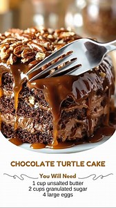 Chocolate Turtle Cake Ingredients: - 1 cup unsalted butter, softened - 2 cups granulated sugar - 4 large eggs - 1 teaspoon vanilla extract - 2 cups all-purpose flour - 1 cup unsweetened cocoa powder - 1 teaspoon baking powder - 1 teaspoon baking soda - 1/2 teaspoon salt - 1 cup buttermilk - 1 cup chopped pecans - 1 cup chocolate chips - 1 cup caramel sauce Directions: 1. Preheat your oven to 350°F (175°C). Grease and flour two 9-inch round cake pans. 2. In a large bowl, cream together the soften