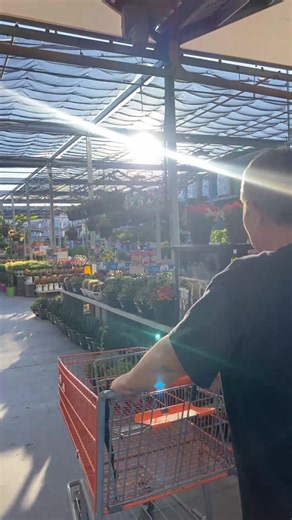 6.4K views · 55 reactions | Home Depot garden center | Christine Zulueta | Facebook