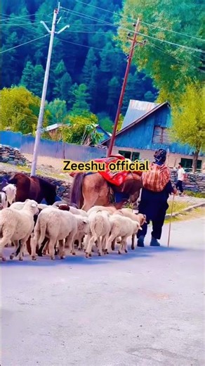 Gojri pahari culture #viral #video #shorts #youtube #viralvideo #god