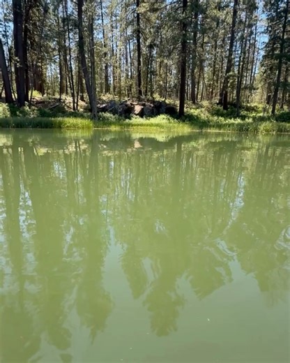 Hunter Pence on Reels