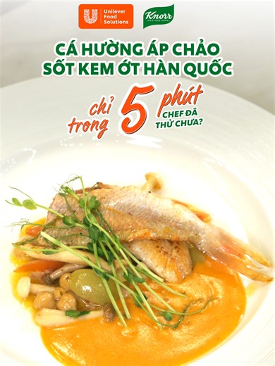 White Sauce UFS: Giải pháp sáng tạo cho nhà bếp