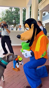 40K views · 410 reactions | Dog finally meets Goofy! | Animal Lovers | Facebook