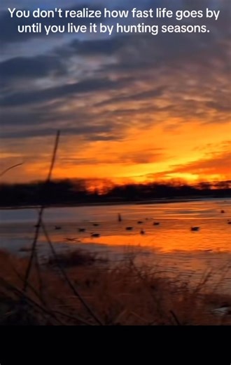 2.6K views · 20 reactions | Western Maryland Hunting on Reels | Facebook