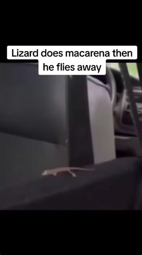 Baby goofy on TikTok